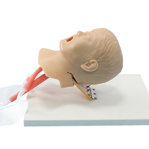 Simulateur d'entraînement à l'intubation trachéale pour enfant, taille réelle, en PVC durable, mannequin de soins infirmiers pour la gestion des voies respiratoires en milieu médical - Product Image 2
