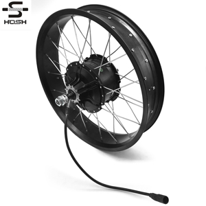 Kit de Conversión para Bicicleta Eléctrica Hosh de 350W, Motor BLDC de 20 Pulgadas con Disco, Controlador Inteligente, Pantalla LCD, Batería de Litio, <span class=keywords><strong>Accesorios</strong></span> de Alimentación - Product Image 6