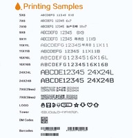 Impresora de Fecha de Producción, Impresora de Inyección de Tinta CIJ Automática de Alto Nivel para Codificación de Fechas de Caducidad en Botellas de Plástico y Envases Flexibles