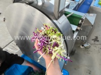 Cortador Eléctrico de Perejil, Máquina para Cortar Cebollino, Rebanador de Hojas de Acelga, Frutas y Verduras, Cortador Eléctrico de Vegetales