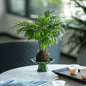 Plato de cerámica estilo chino con forma de flor, plato de porcelana para servir frutas, té y aperitivos. - Product Image 3