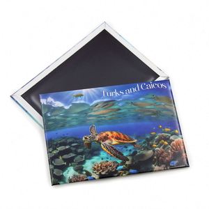Imanes de nevera personalizados de hojalata impresa con paisajes de Tortugas y Caícos y tortugas marinas - Product Image 3