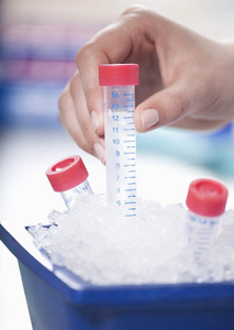 85Kgs IMS-85 Big Capacity High Quality <strong>Shaved</strong> <strong>Ice</strong> <strong>Machine</strong> for Laboratory and Restaurant - Product Image 5