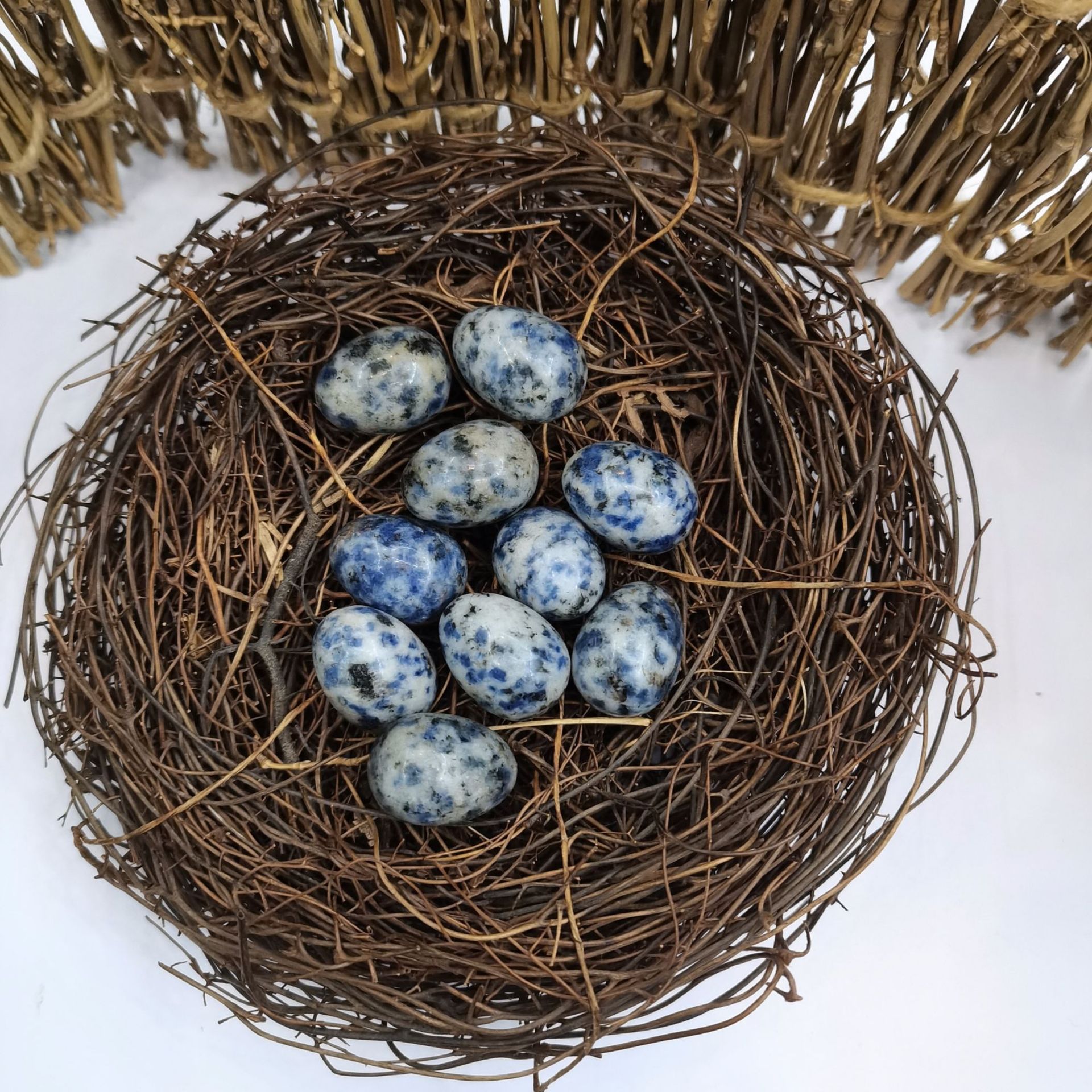 Oeufs à pois bleus