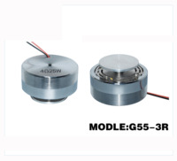 Sürücü tweeter sıkıştırma profesyonel ses hoparlör woofer yüksek sürücü WLG70-47