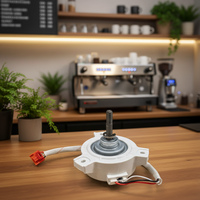 Motor de Corriente Continua para Cafetera, Motor de Alta Calidad para Cafetera DC