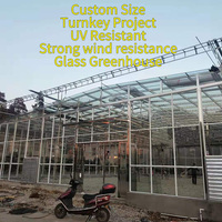 Grande serre agricole multi-chapelles en verre et polycarbonate, système hydroponique, résistance au vent et à la corrosion, acier galvanisé
