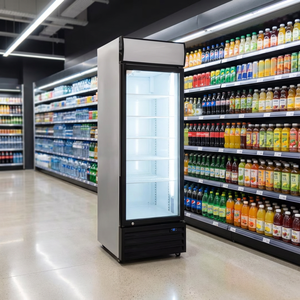 Refrigerador Exhibidor de Bebidas Enfriado por Estática LC-400 para Supermercados, Vitrina Refrigerada para Tiendas - Product Image 4