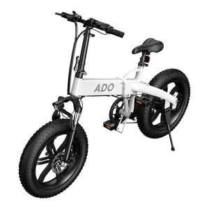 Bicicleta eléctrica de 500W, bici de litio de 2021 pulgadas