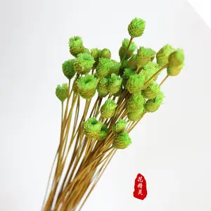 50件家居婚宴装饰快乐花红色粉色干花花束天然干迷你花