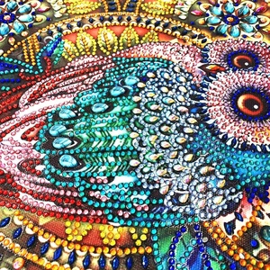 Peinture Diamant Animaux Hibou Cartoon 5D Forme Spéciale Cristal Diamant DIY 30x30 - Product Image 4