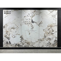 Pantagonia Pierre Frittée 800x2400mm Intérieur Blanc Brillant Poisson Maw Art Tile Grand Format Porcelaine Salon Salle À Manger En Plein Air