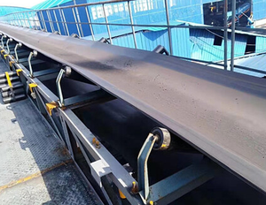 Hot bán vành đai băng tải phụ tùng thay thế vành đai sway Thiết bị chuyển mạch băng tải dừng khẩn cấp chuyển đổi - Product Image 5