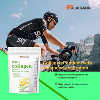 Collagène Multi-Spectre pour Adultes en Gros (OEM) avec Vitamine C et Acide Hyaluronique – Poudre de Peptides pour la Santé de la Peau – Aliment Santé en Vrac