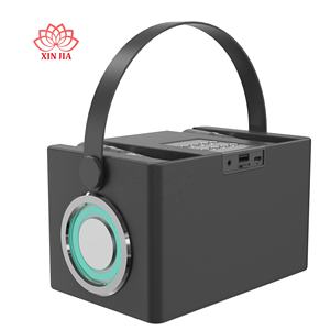 ลำโพงบลูทูธคาราโอเกะไร้สายขนาดเล็ก รุ่น A832 5.3 พร้อมไมโครโฟนคู่ แบตเตอรี่แบบชาร์จได้ รองรับการ์ด TF สำหรับโฮมเธียเตอร์และดีเจ ขายส่ง - Product Image 3