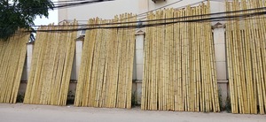 Vente en gros de lampe en bambou écologique pour l'extérieur pour la construction de jardins Lampe en bambou naturelle crue bon marché pour clôture en bambou Agriculture - Product Image 2