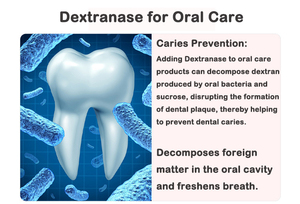 Enzima Destrantasi per Igiene Orale, Rimozione della Placca Dentale e Prevenzione delle Carie, Enzima Naturale per Dentifrici - Product Image 3