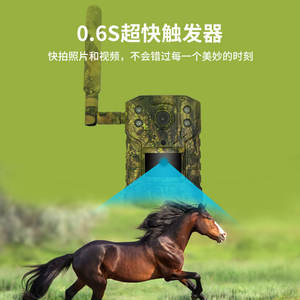 Caméra de surveillance extérieure 4G 1080P étanche IP65 avec vision nocturne infrarouge et interphone vocal pour le camouflage transfrontalier - Product Image 4