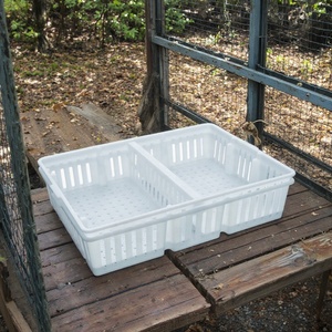 Gabbia di Trasporto in Plastica per Allevamento di Polli, Attrezzatura per Gabbie per Animali a <span class=keywords><strong>Prezzo</strong></span> Competitivo - Product Image 1