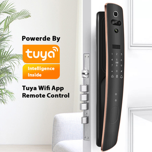 Cửa nhập an ninh thông minh RFID thẻ 3D Nhận dạng khuôn mặt vân tay khóa cửa tuya <span class=keywords><strong>App</strong></span> khóa cửa - Product Image 3