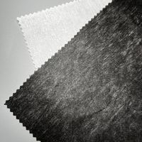 Interlining en tissu non tissé à points dispersés en polyester, interlining non tissé, tissu d'interlining adhésif thermocollant