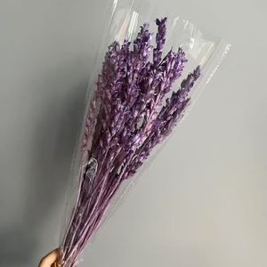 2025 Nuevo beleño conservado para decoraciones de bodas y decoraciones navideñas - Product Image 6