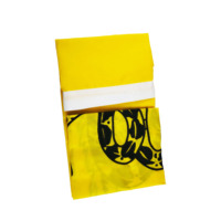 Drapeaux publicitaires personnalisés pour l'extérieur, drapeaux de voiture imprimés sur mesure, drapeaux nationaux, vente en gros