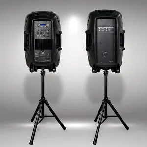 Line array speakers 15 Inch Powered portable Speaker Wholesale Active Powered Bass church Speaker With LED Light