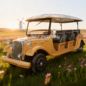 Voiture électrique de tourisme vintage dorée homologuée CE, 8 places, pour complexe hôtelier, parc de montagne, mariage - Product Image 6