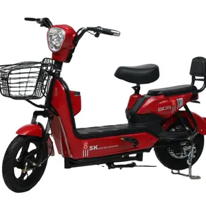 Toptan ucuz elektrikli bisiklet 48v350 E-BIKE w çok fonksiyonlu akıllı uzaktan kumanda elektrikli bisiklet