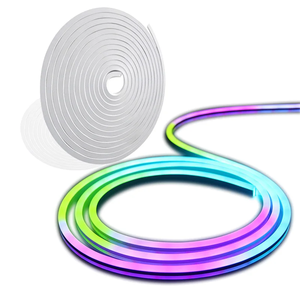 ไฟนีออน RGBIC กันน้ำ IP67 12V/24V ควบคุมสีได้ด้วยรีโมท ไฟ LED พิกเซล เปลี่ยนสีได้ สำหรับตกแต่งงานเทศกาลกลางแจ้ง - Product Image 2