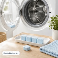 Tablettes nettoyantes pour lave-linge en vrac OEM ODM pour les distributeurs en gros étrangers