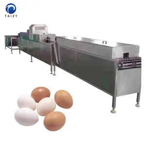 Máquina automática de limpieza de huevos de pato de gran capacidad lavadora de huevos salados lavadora de huevos