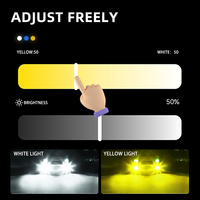 Ampoules LED pour phares de voiture avec contrôle par application, température de couleur réglable 3000K 4300K 6500K, modèles H1 H3 H4 9005 9006 9012 H11 H7