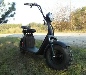 Eec/coc eu armazém superior bom fornecedor três rodas com garantia de qualidade citycoco scooter elétrico