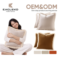 Housses de coussin décoratives durables à assortir, en velours hollandais doux avec pompons, vente en gros