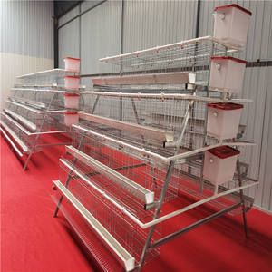 Cages pour poules pondeuses en acier galvanisé, poulailler, cage pour animaux de ferme, cage à lapins, poulailler pour poulets - Product Image 3