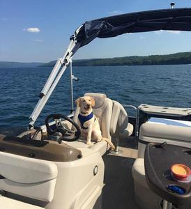 Yacht dal Design moderno con <span class=keywords><strong>vista</strong></span> panoramica e servizi di lusso - Product Image 4