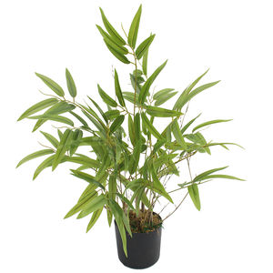 Gran Venta de árbol de Banyan artificial a bajo precio - Product Image 1