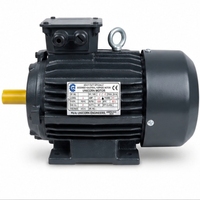 Motor Listrik Industri Tugas Berat 1.5 HP 1500-1700 RPM TEFC Tiga Fasa Efisiensi IE3 Pemasangan Flens 380-440V Motor Bertenaga Tinggi