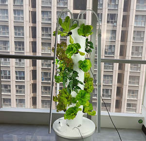 ชุดหอคอยแนวตั้งสำหรับมะเขือเทศทั้งชุด - Product Image 1