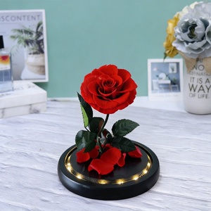 <span class=keywords><strong>Cloche</strong></span> en verre 18x30cm avec <span class=keywords><strong>rose</strong></span> éternelle gravée sous <span class=keywords><strong>cloche</strong></span> <span class=keywords><strong>et</strong></span> base noire, <span class=keywords><strong>rose</strong></span> rouge, cadeau pour <span class=keywords><strong>la</strong></span> Saint-Valentin, Noël - Product Image 5