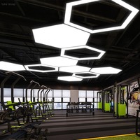 Lampes suspendues LED modernes hexagonales pour plafond, IP44, télécommande AC, CRI élevé 90, température de couleur multiple, boîtier en aluminium, éclairage