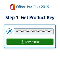 Clave en Línea para Office 2019 Professional Plus, Licencia Digital para 1 PC, Activación Global, Uso de por Vida, Sistema Win10/11, Multilingüe