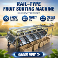 Volledig automatische sorteermachine voor lychee fruit en groenten met multifunctionele 220V/380V aansluiting en 1 jaar garantie