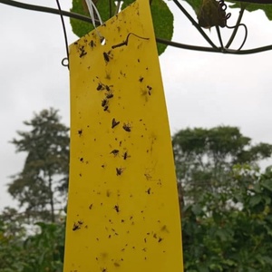 Piège adhésif imperméable de 7,88 x 3,94 pouces pour la ferme, plaque de colle double face pour insectes, pour mouches des fruits/mouches blanches/thrips - Product Image 4