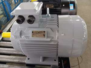 Motor Eléctrico Asíncrono Trifásico de Alta Eficiencia Serie IE2, 37KW, 2 Polos, Carcasa de Hierro/Aluminio, Cable de Cobre, 380V, 50/60Hz - Product Image 3