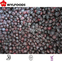 Bevroren Zwarte Bes Eersteklas Gedroogd Fruit Voor Uw Gezonde Snack Of Culinaire Lekkernijen