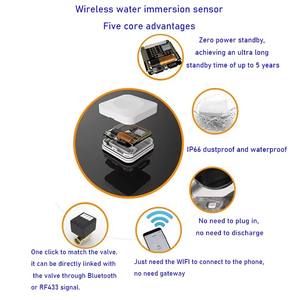 Tüm ev için 433MHz kablosuz su sızıntı alarmı sistemi, DN15 DN20 DN25 vanalar, su sensörü ve uzaktan kumanda - Product Image 6