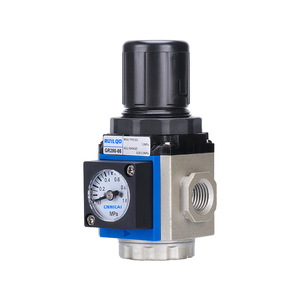 Válvula Reductora de Presión RUILQD GR200-08, Rosca de 1/4 Pulgada, para Gas a Temperatura Normal - Product Image 1